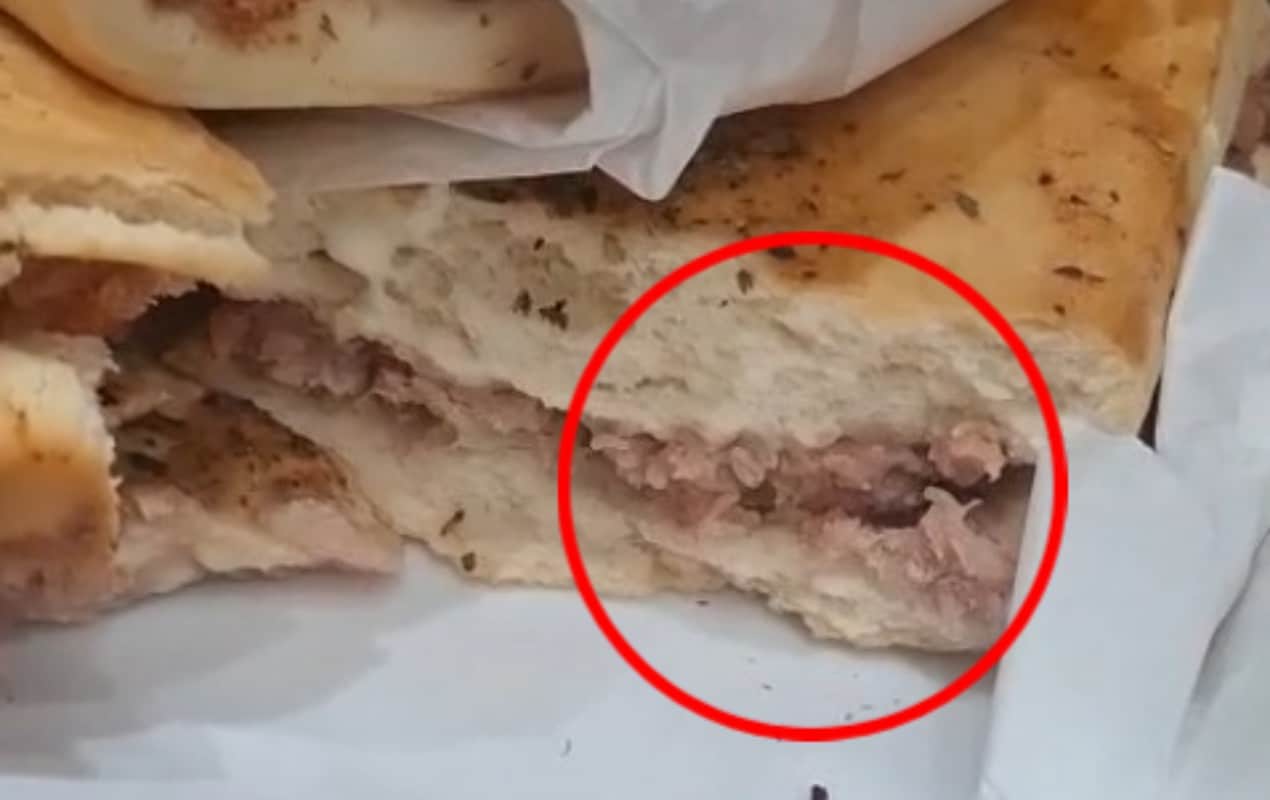 Cliente Encontra Larvas Em Salgado Na Rodoviria De 1771684520018