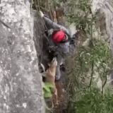 Resgate Heroico Bombeiros Salvam Co Preso Em Pedre 1771113273802