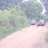 Tragdia Animal Motorista Detido Aps Atropelar Cach 1770036846464