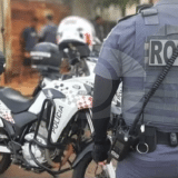 Bebe De Um Ano Escapa De Ataque Grave De Pitbull Em Birigui