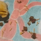 Cliente Compra Empada De Frango Em Supermercado De Mairinque Recheada De Larvas