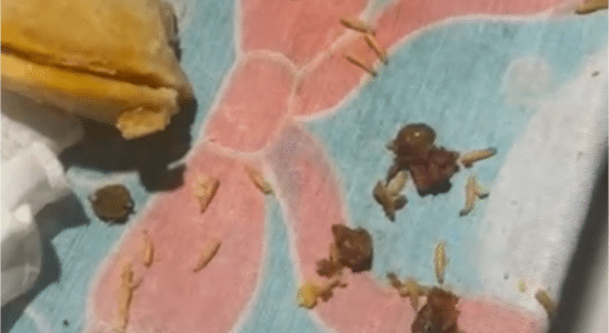 Cliente Compra Empada De Frango Em Supermercado De Mairinque Recheada De Larvas