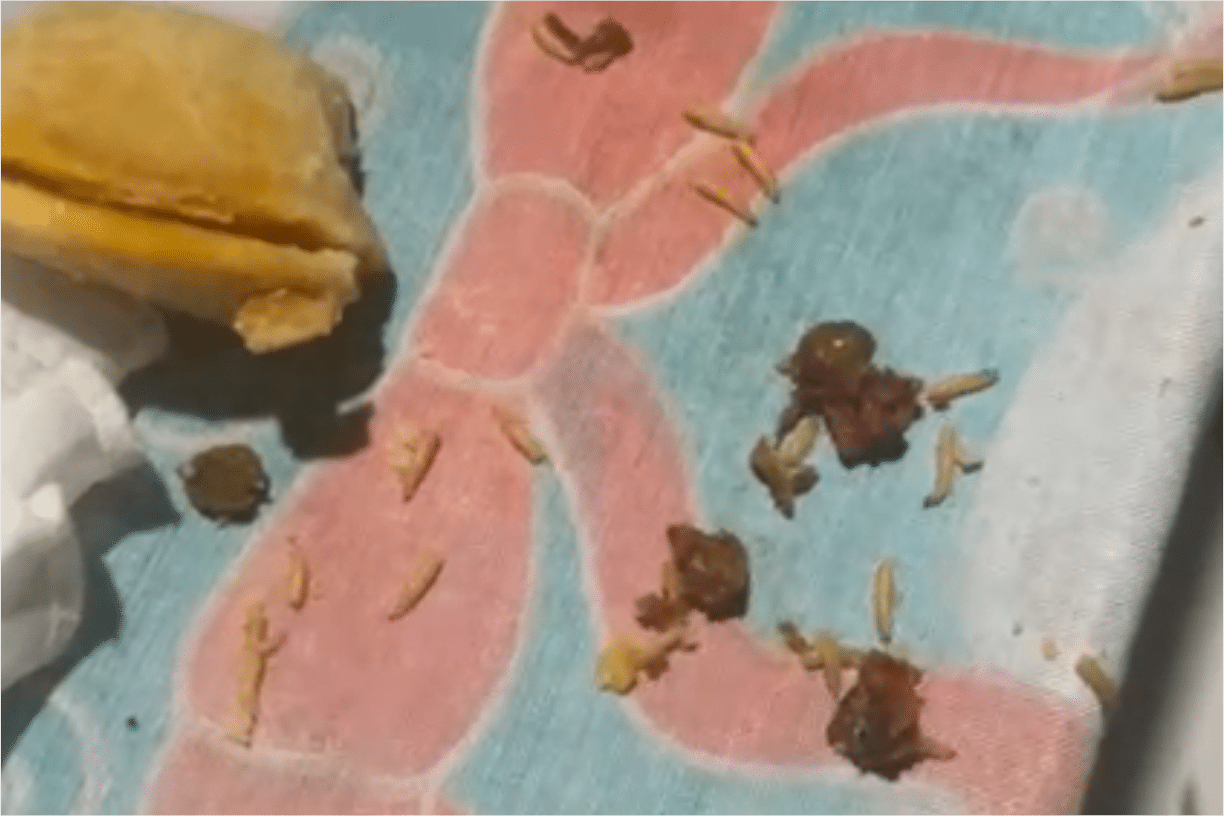 Cliente Compra Empada De Frango Em Supermercado De Mairinque Recheada De Larvas