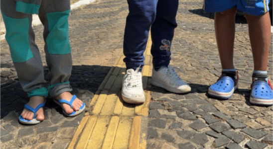 Idoso Estuprou Quatro Crianças Após Convidá-Las Para Colher Frutas