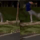 Jovem Paga Multa De R$ 3 Mil Por Chutar Gamba Em Condomínio