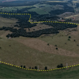 Ministério Público Impede Venda Da Fazenda Onça Em Avaré Em Leilão Eletrônico