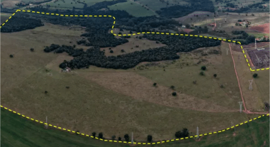 Ministério Público Impede Venda Da Fazenda Onça Em Avaré Em Leilão Eletrônico