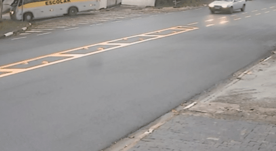 Ônibus Escolar Colide Com Árvore Em Campinas; Sementes Na Pista Podem Ter Causado Acidente