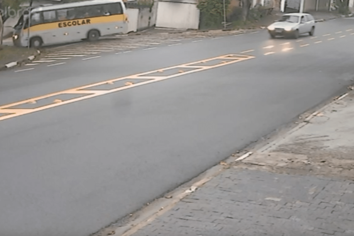 Ônibus Escolar Colide Com Árvore Em Campinas; Sementes Na Pista Podem Ter Causado Acidente