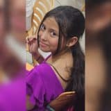 Febre Maculosa O Alerta Que Volta Tona Aps Morte D 1774368388804