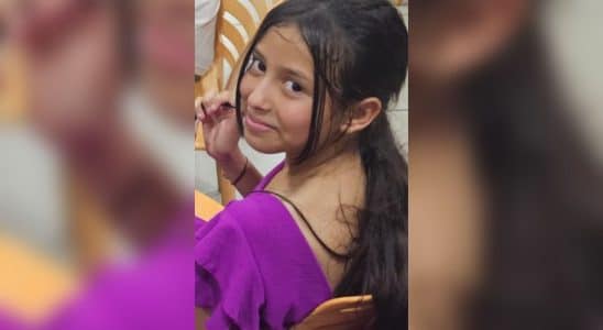 Febre Maculosa O Alerta Que Volta Tona Aps Morte D 1774368388804