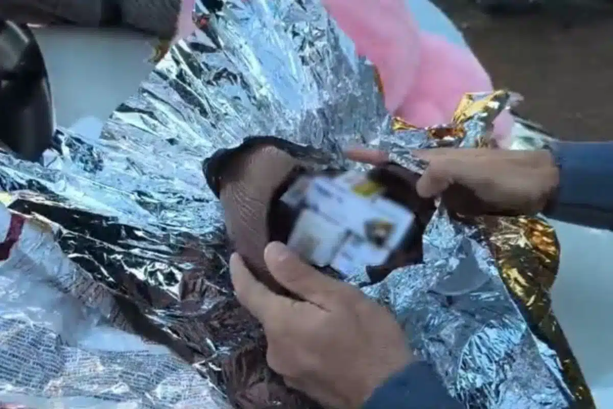 Polícia Apreende Remédios Para Emagrecer Escondidos Em Ovos De Chocolate Em Rodovia 7 Polcia Apreende Remdios Para Emagrecer Escondidos 1773695522376