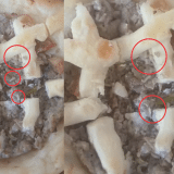 Cliente Compra Esfira De Carne Infestada De Larvas Em Supermercado Em Mairinque