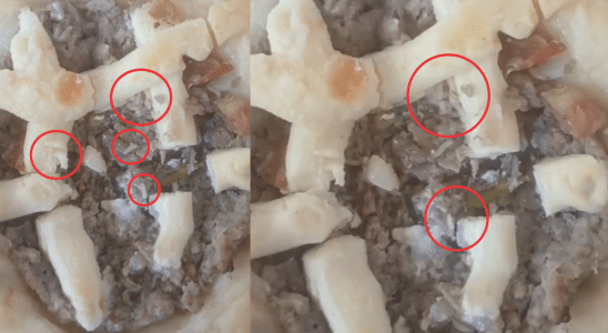 Cliente Compra Esfira De Carne Infestada De Larvas Em Supermercado Em Mairinque