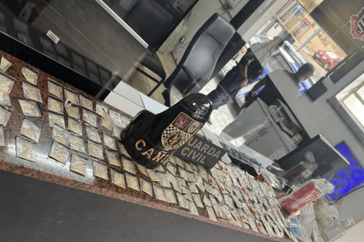 Gcm De São Roque Prende Traficante Que Deu Fuga E Entrou Em Casa De Morador