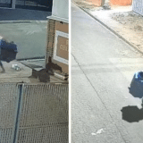 Homem Furta Casinha De Cachorro Comunitário E Causa Revolta Em Sorocaba