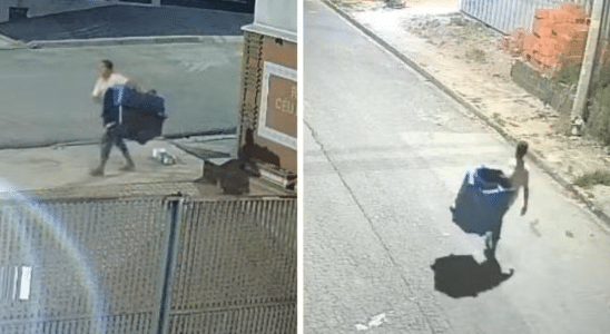 Homem Furta Casinha De Cachorro Comunitário E Causa Revolta Em Sorocaba