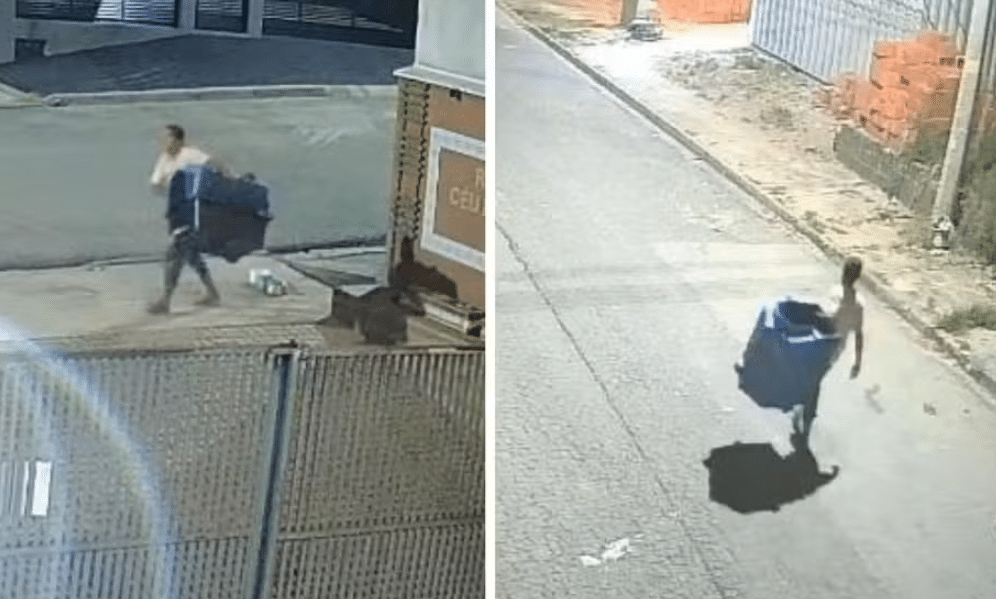 Homem Furta Casinha De Cachorro Comunitário E Causa Revolta Em Sorocaba