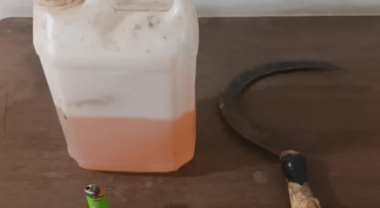 Homem Tenta Matar Os Pais Com Foice E Galão De Gasolina No Interior De São Paulo