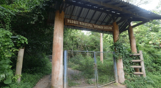 Justiça Decreta Desocupação Imediata No Horto Florestal Em Mairinque A Pedido Da Prefeitura