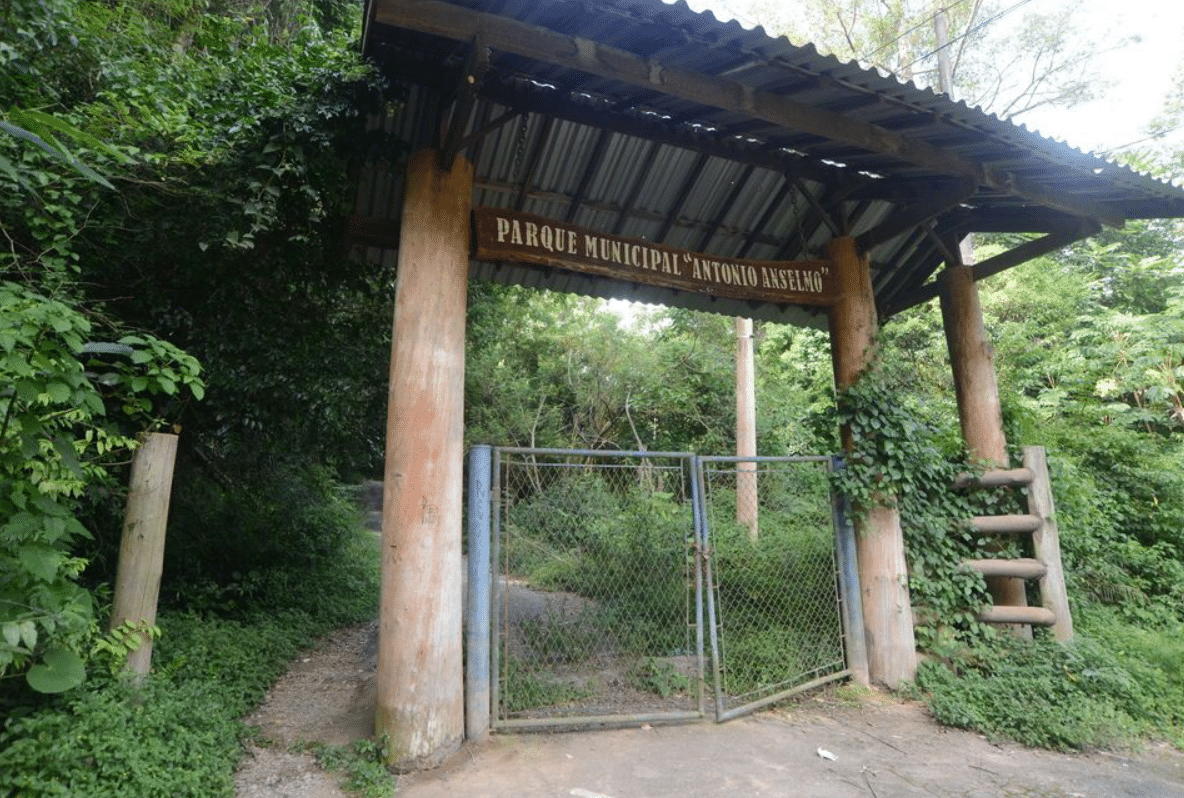 Justiça Decreta Desocupação Imediata No Horto Florestal Em Mairinque A Pedido Da Prefeitura