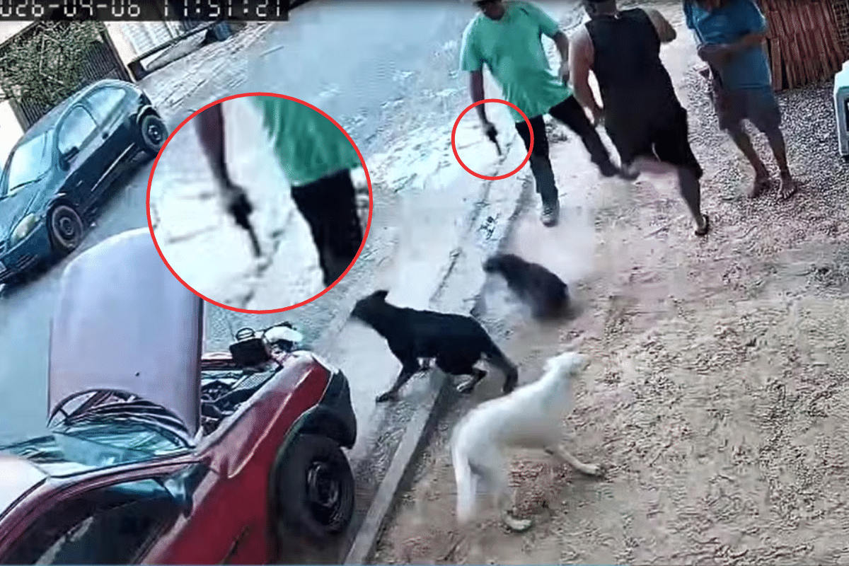 Vereador Atira Contra Cães Durante Discussão Em Itu E Alega Legítima Defesa