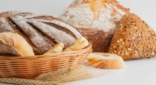 Estudo Da Usp Identifica Substâncias Potencialmente Carcinogênicas Em Pães 1 Estudo Da Usp Identifica Substncias Potencialmente 1775331274060