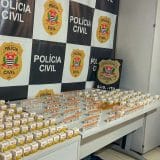 Operao Policial Apreende Mais De 300 Ampolas De Ti 1775827682824
