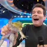 Sbt É Proibido De Usar Animais Silvestres Em Programas Após Acusação De Maus-Tratos 1 Sbt Proibido De Usar Animais Silvestres Em Program 1776290567926