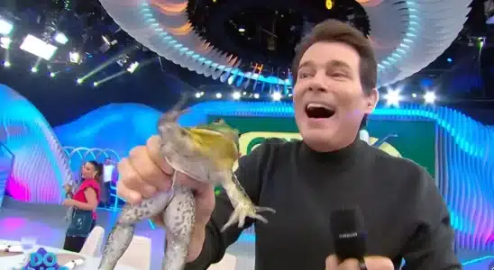 Sbt É Proibido De Usar Animais Silvestres Em Programas Após Acusação De Maus-Tratos 7 Sbt Proibido De Usar Animais Silvestres Em Program 1776290567926