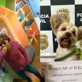 Tentativa De Furto De Co Marca Escalada De Violnci 1776615249778