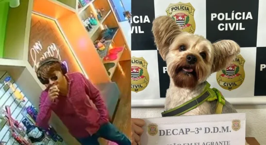 Tentativa De Furto De Co Marca Escalada De Violnci 1776615249778