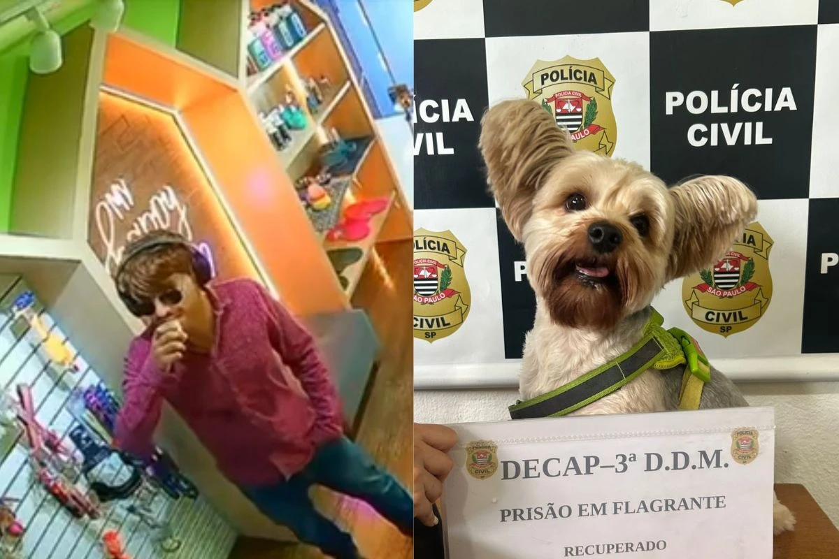 Tentativa De Furto De Co Marca Escalada De Violnci 1776615249778