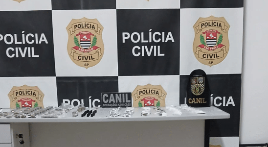 Polícia Civil E Guardas Municipais Prendem Suspeito De Tráfico De Drogas Em Maylasky