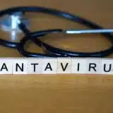 Hantavírus: O Que É, Como Se Transmite E Como Evitar A Infecção 4 Hantavrus O Que Como Se Transmite E Como Evitar A 1778768232853