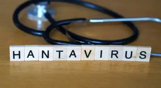 Hantavrus O Que Como Se Transmite E Como Evitar A 1778768232853
