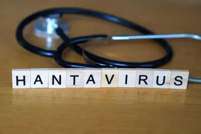 Hantavrus O Que Como Se Transmite E Como Evitar A 1778768232853