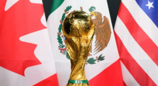 Afiliados De Apostas Ampliam Participação Em Receitas Com Previsões Da Copa