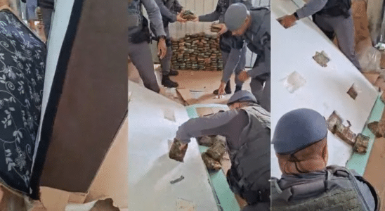 Carga Milionaria De Cocaina Escondida Dentro De Colchoes E Descoberta No Interior De Sp