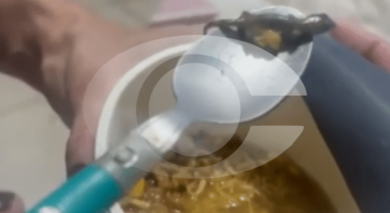Cliente Encontra Largatixa Em Miojo De Copo, O Famoso Cup Noodles Da Nissin