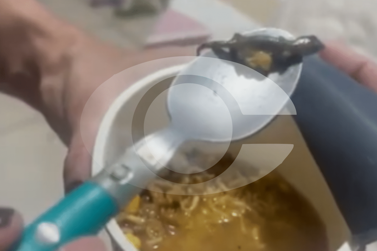 Cliente Encontra Largatixa Em Miojo De Copo, O Famoso Cup Noodles Da Nissin