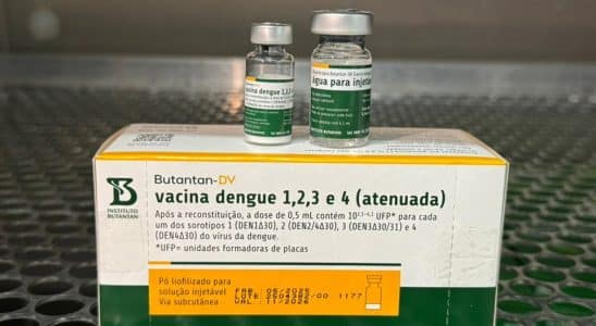 Ministerio Da Saude Suspende Uso Da Vacina Da Dengue Do Butantan Apos Duas Mortes Suspeitas