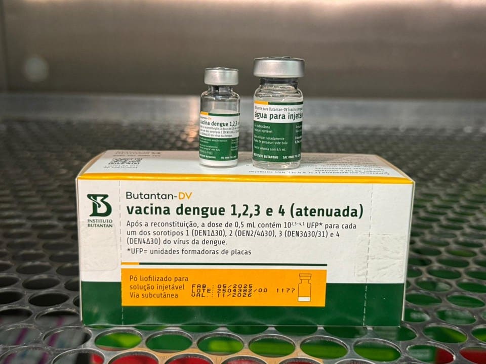 Ministerio Da Saude Suspende Uso Da Vacina Da Dengue Do Butantan Apos Duas Mortes Suspeitas