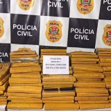 Policia Intercepta Caminhao Com 325 Tijolos De Maconha Ocultos Sob Toneladas De Alho Em Sp