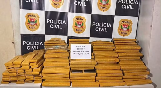 Policia Intercepta Caminhao Com 325 Tijolos De Maconha Ocultos Sob Toneladas De Alho Em Sp